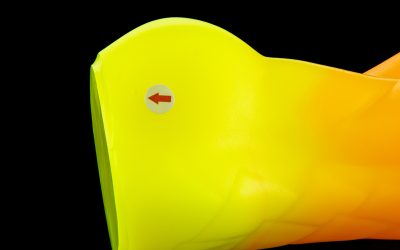 Alternative view of Mason's Hindpaws - Regular Single Flop