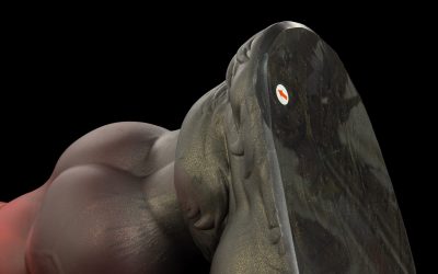 Alternative view of Ranger - XXL Flop