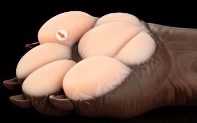 Alternative view of Gideon's Paw - Regular Single Flop