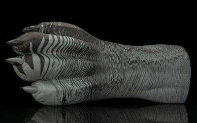 Alternative view of Gideon's Paw - Regular Single