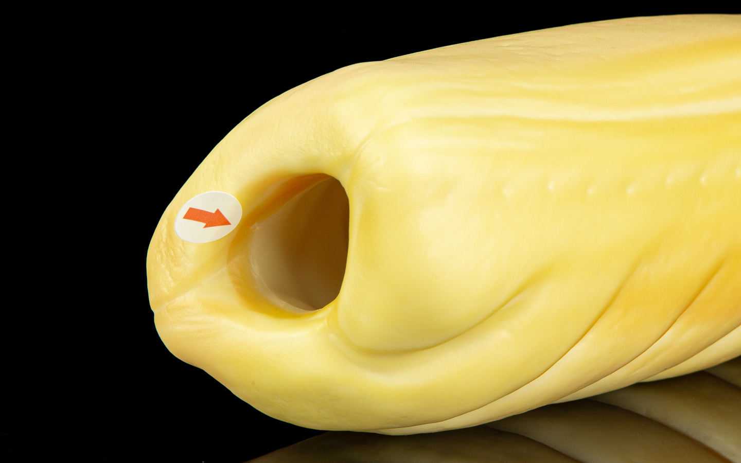 Sausage Roll - One Size Flop - Image 2