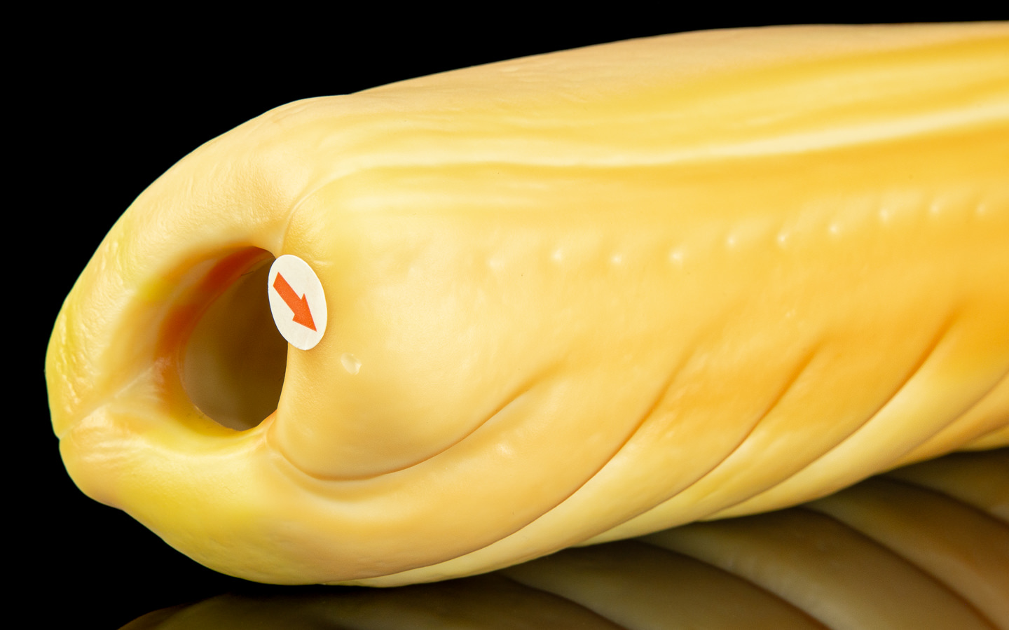 Sausage Roll - One Size Flop - Image 2