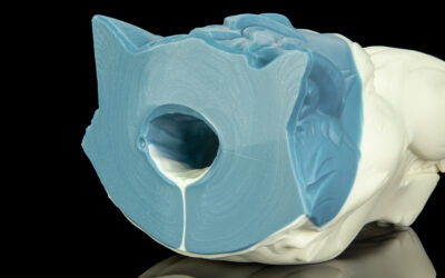 Alternative view of Ranger's Muzzle - One Size